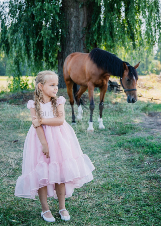 Pink Organza Flower Girl Dress Girls Party Dress